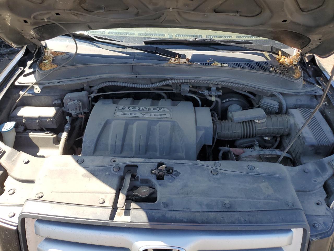 2007 Honda Pilot Exl VIN: 2HKYF18507H535494 Lot: 65913254