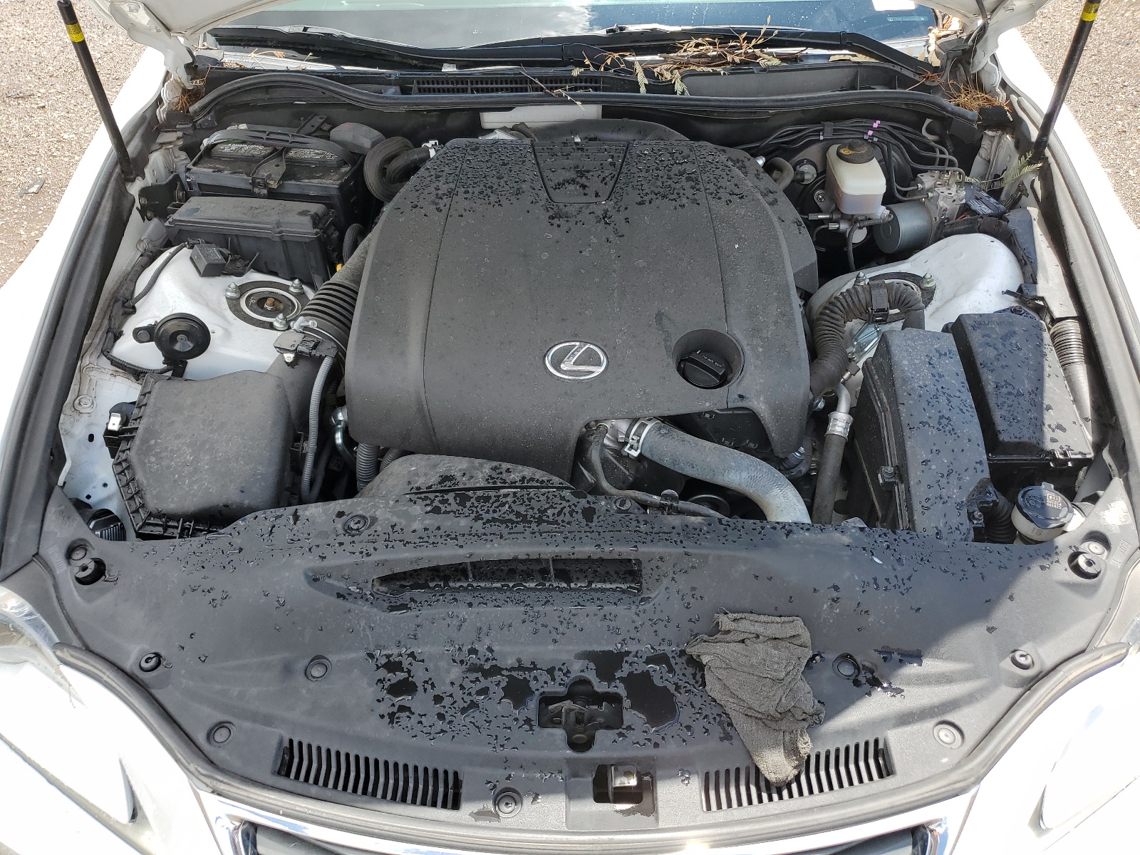 JTHBF1D20F5058421 2015 Lexus Is 250