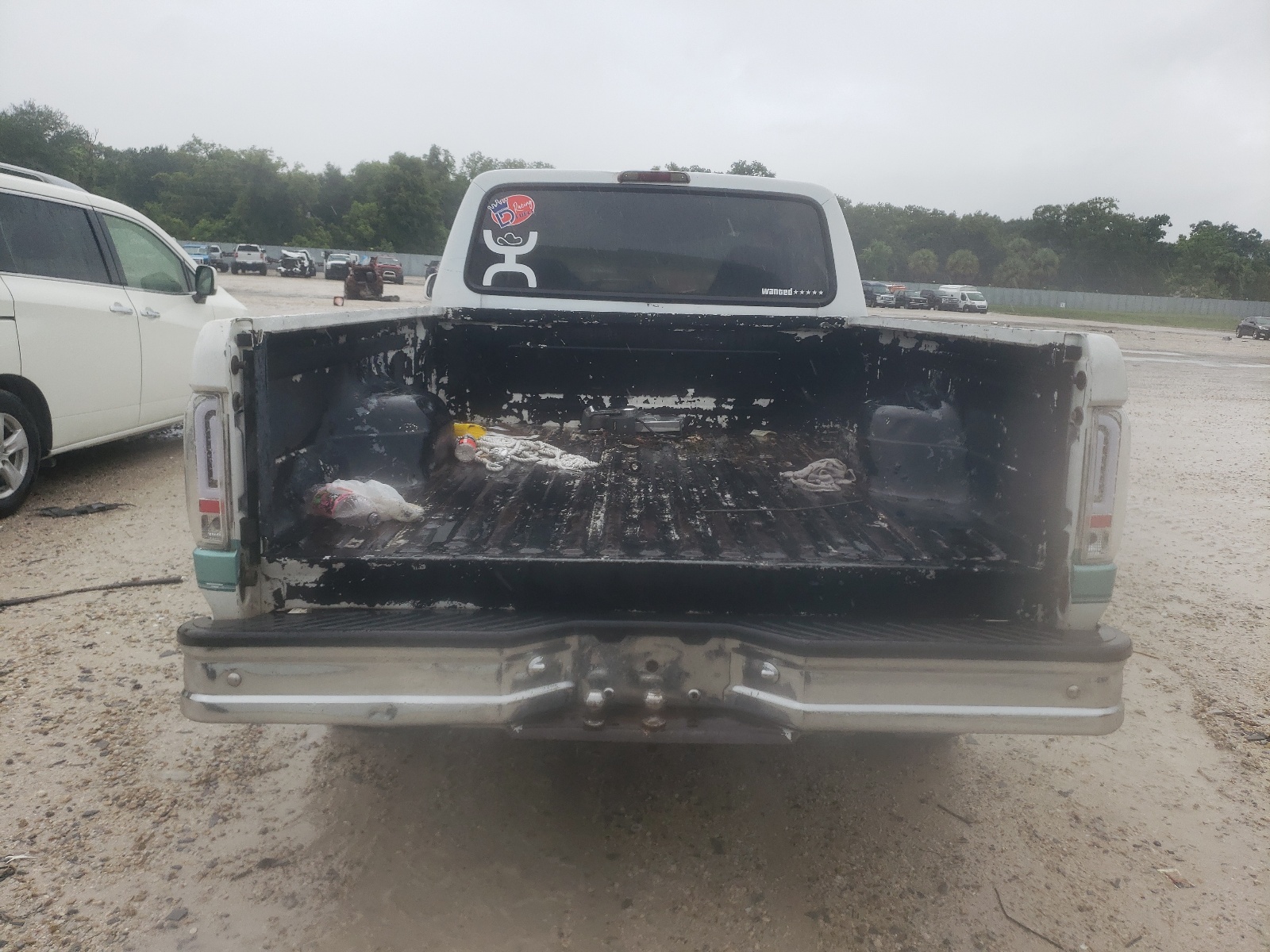 1FTEX14N6RKB18813 1994 Ford F150