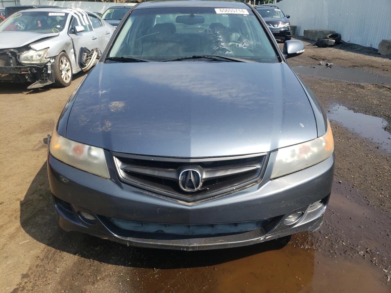 2006 Acura Tsx VIN: JH4CL96886C026485 Lot: 65655714