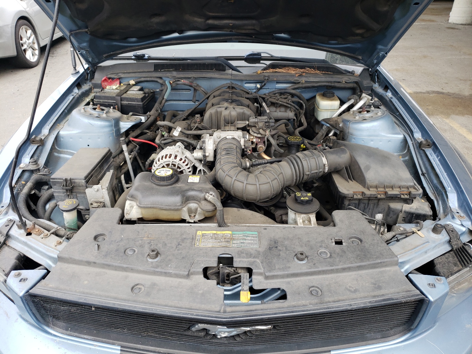 1ZVFT80N065149755 2006 Ford Mustang