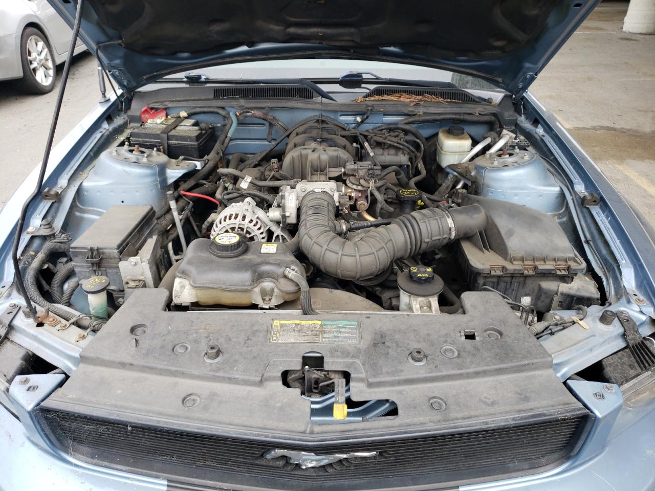 2006 Ford Mustang VIN: 1ZVFT80N065149755 Lot: 66131364