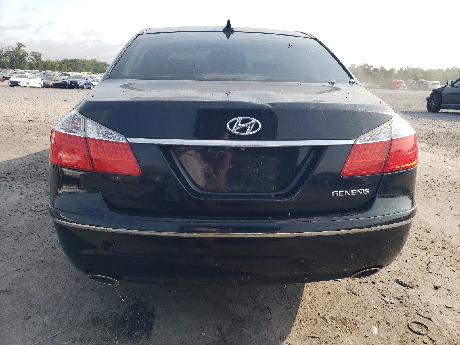 KMHGC4DE4AU086261 2010 Hyundai Genesis 3.8L