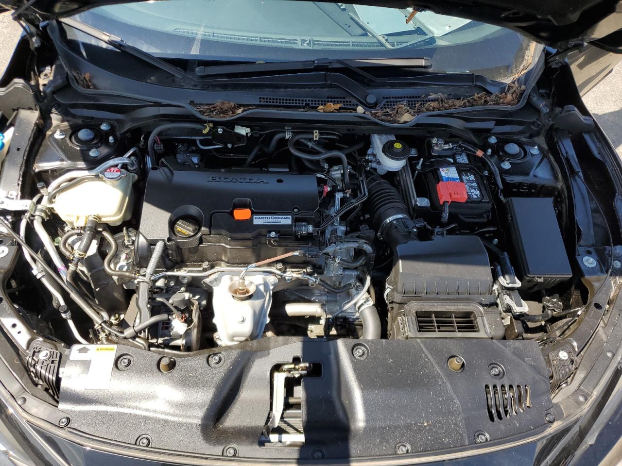 2HGFC2F62MH500804 2021 Honda Civic Lx