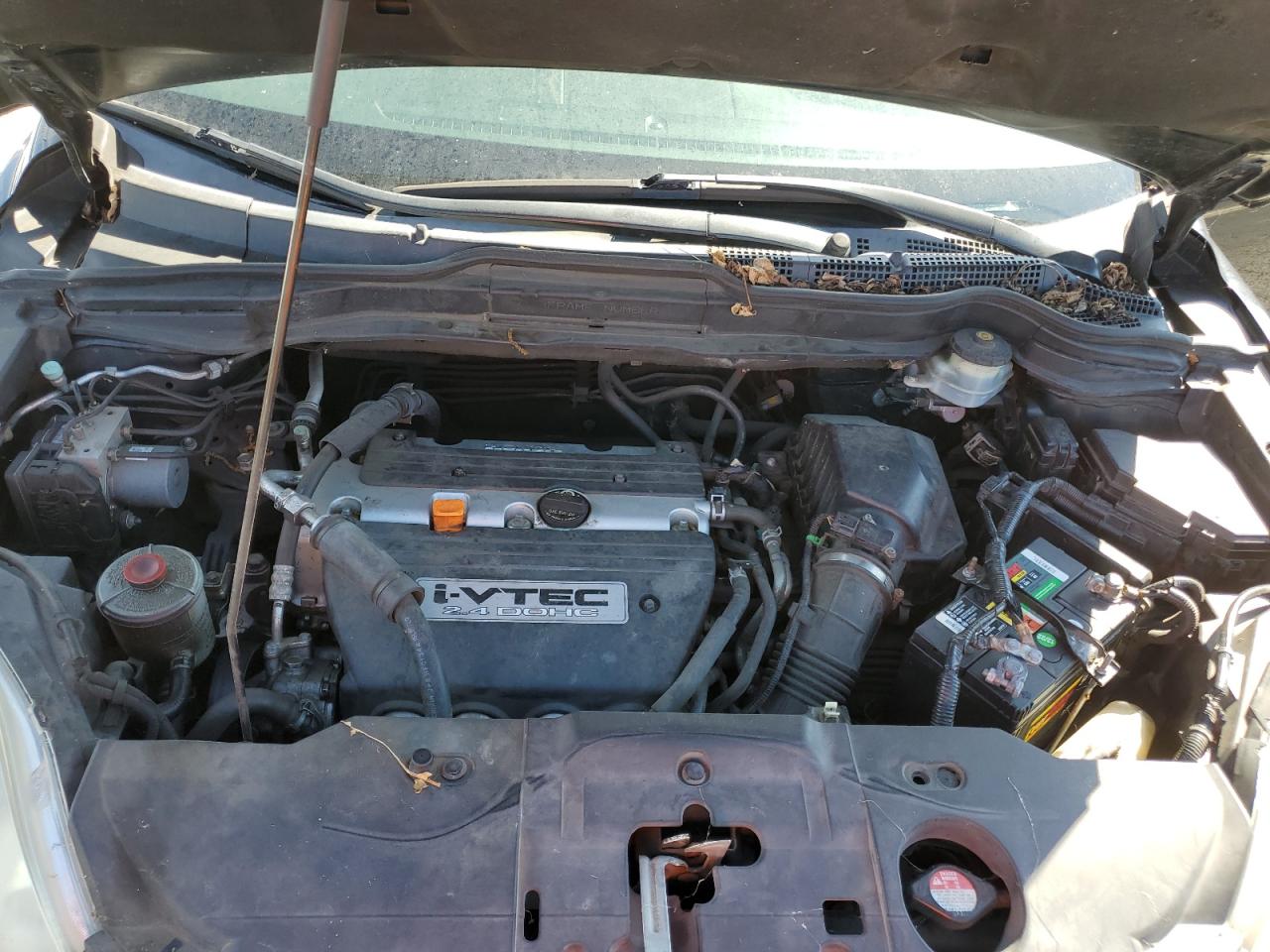 2007 Honda Cr-V Exl VIN: JHLRE38767C077009 Lot: 66398164