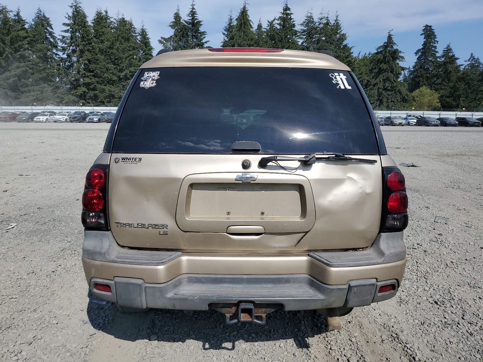 1GNET16S066124682 2006 Chevrolet Trailblazer Ext Ls