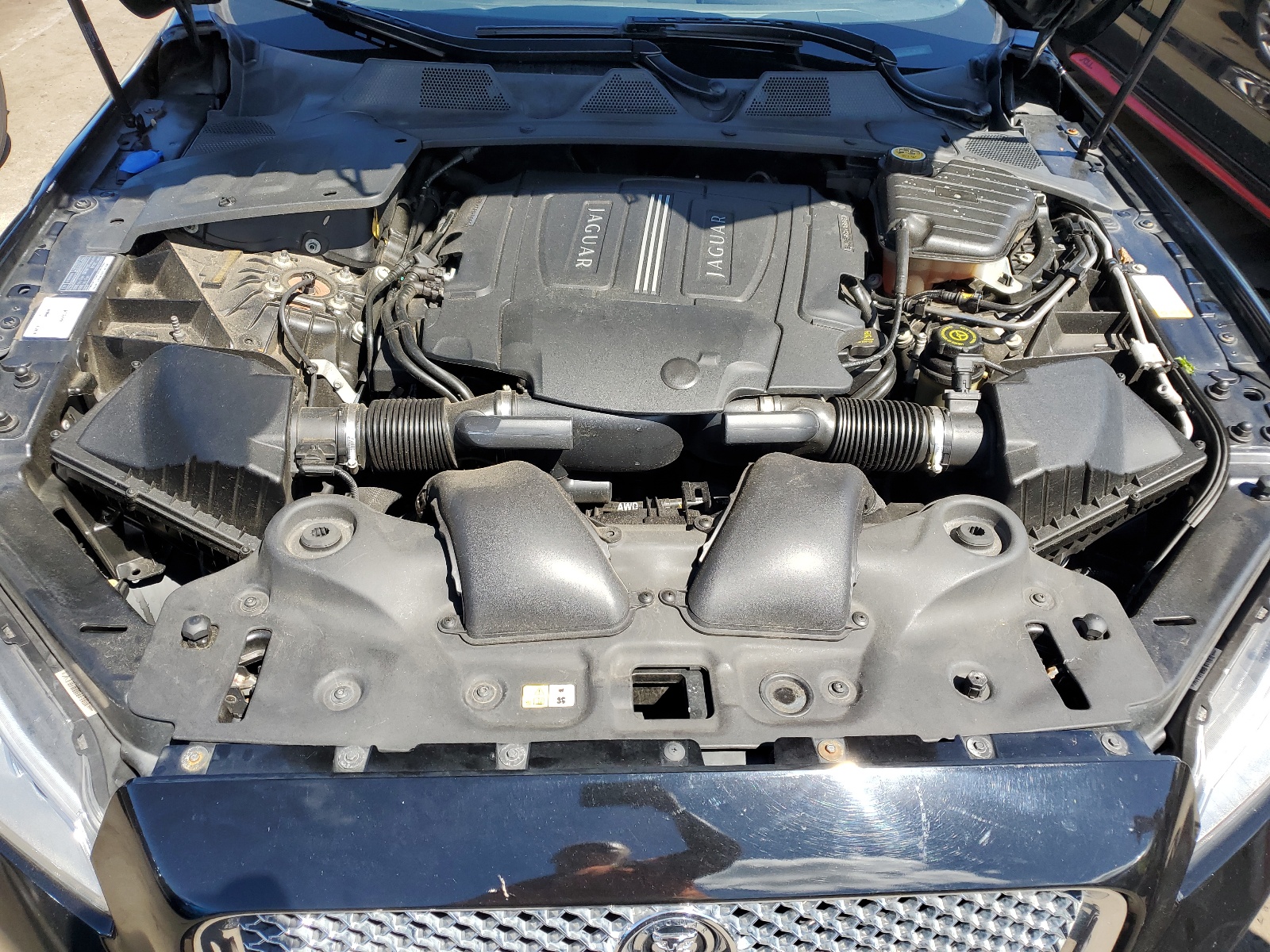 SAJWJ1CD4D8V48202 2013 Jaguar Xj