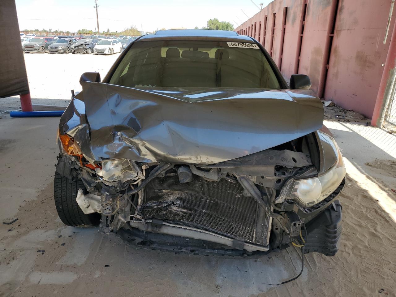 2009 Acura Tsx VIN: JH4CU266X9C025720 Lot: 66795964