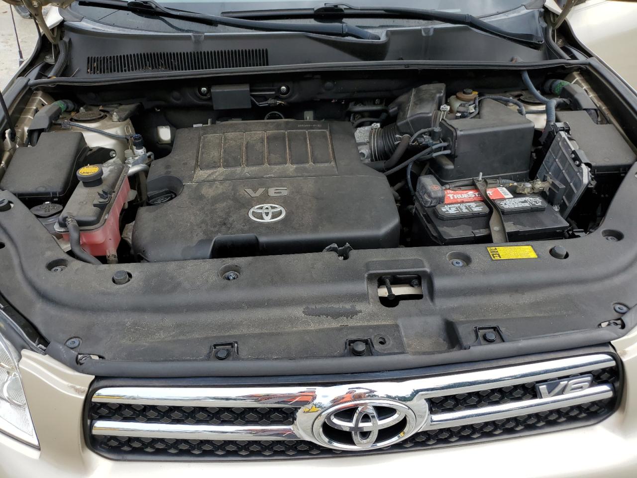 2008 Toyota Rav4 Limited VIN: JTMZK31V285016146 Lot: 67893604