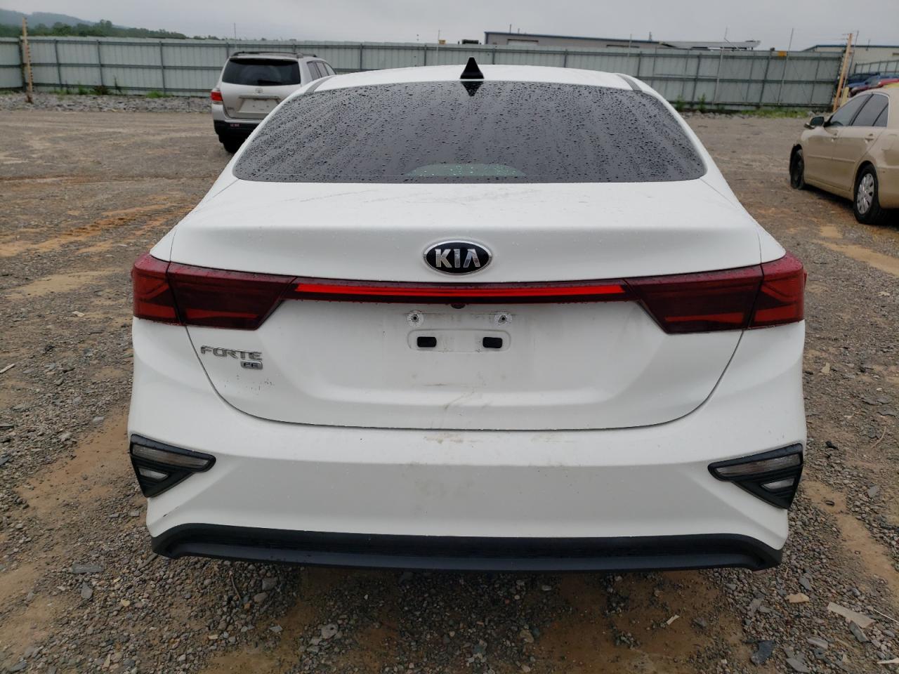 2019 Kia Forte Fe VIN: 3KPF24ADXKE107306 Lot: 65428144