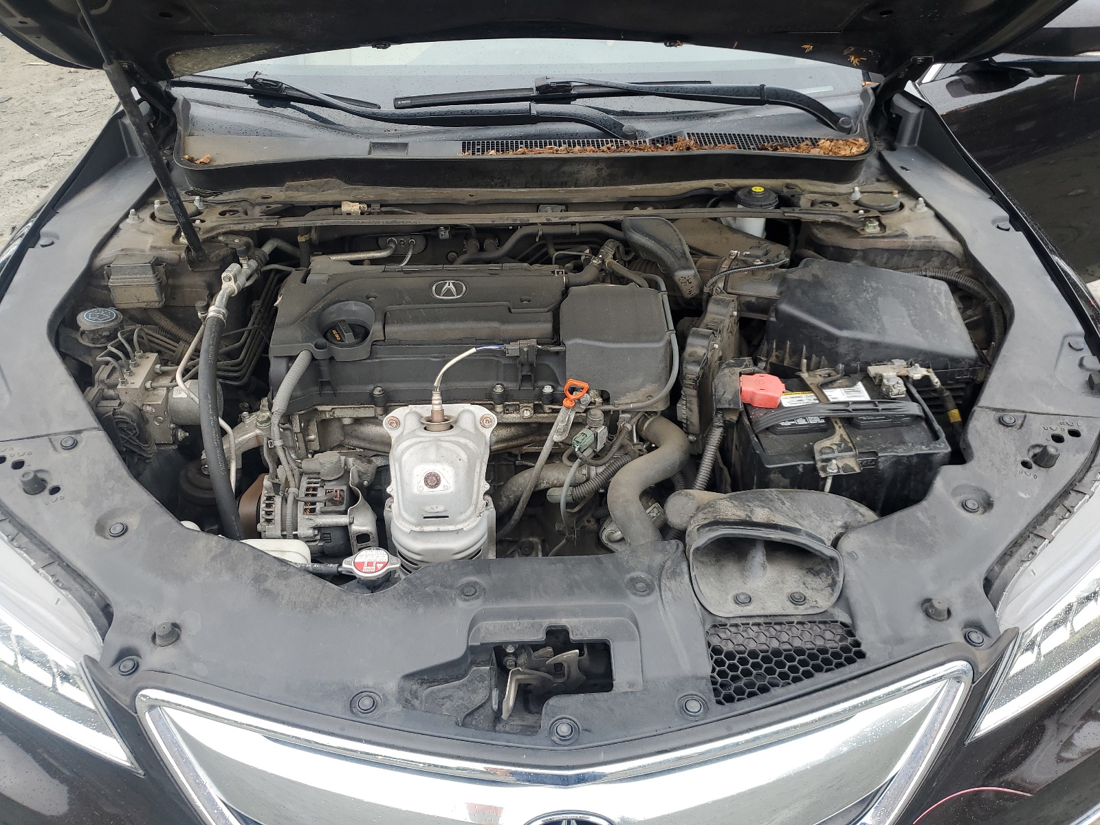 19UUB1F3XGA010303 2016 Acura Tlx