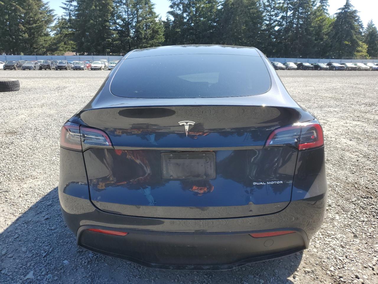 2024 Tesla Model Y VIN: 7SAYGDEE5RF071206 Lot: 69515804