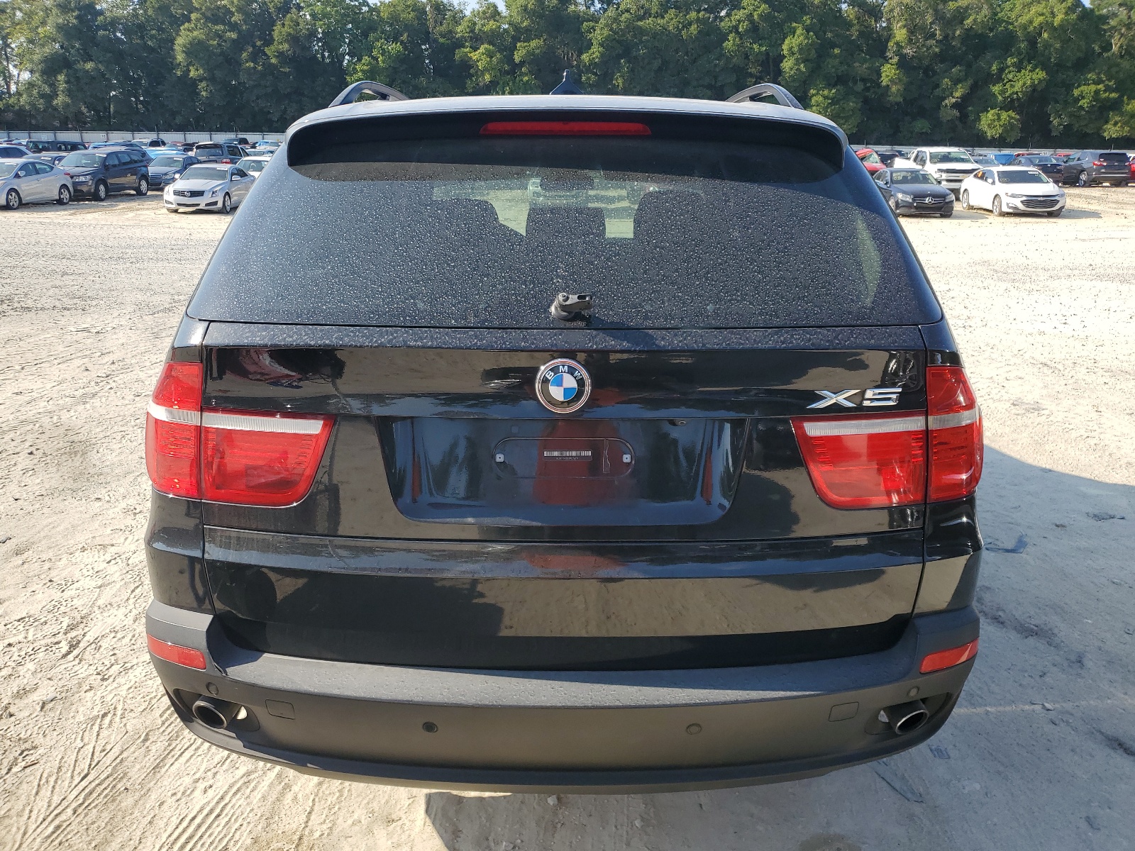 5UXFE43539L261191 2009 BMW X5 xDrive30I