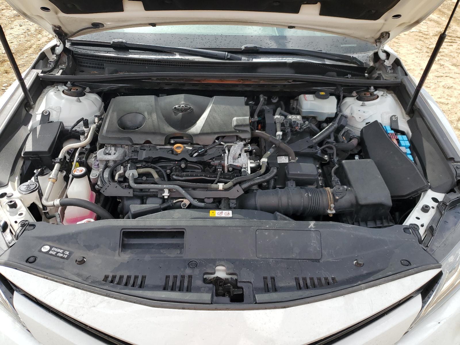 2019 Toyota Camry Hybrid vin: 4T1B21HKXKU014185