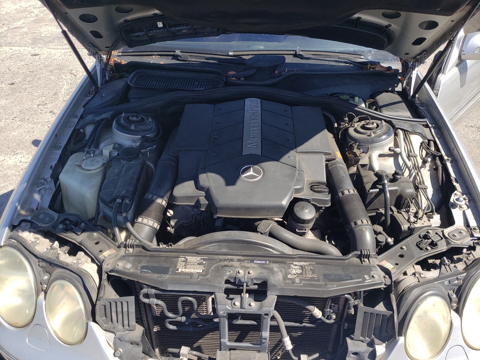 WDBPJ75J13A038842 2003 Mercedes-Benz Cl 500