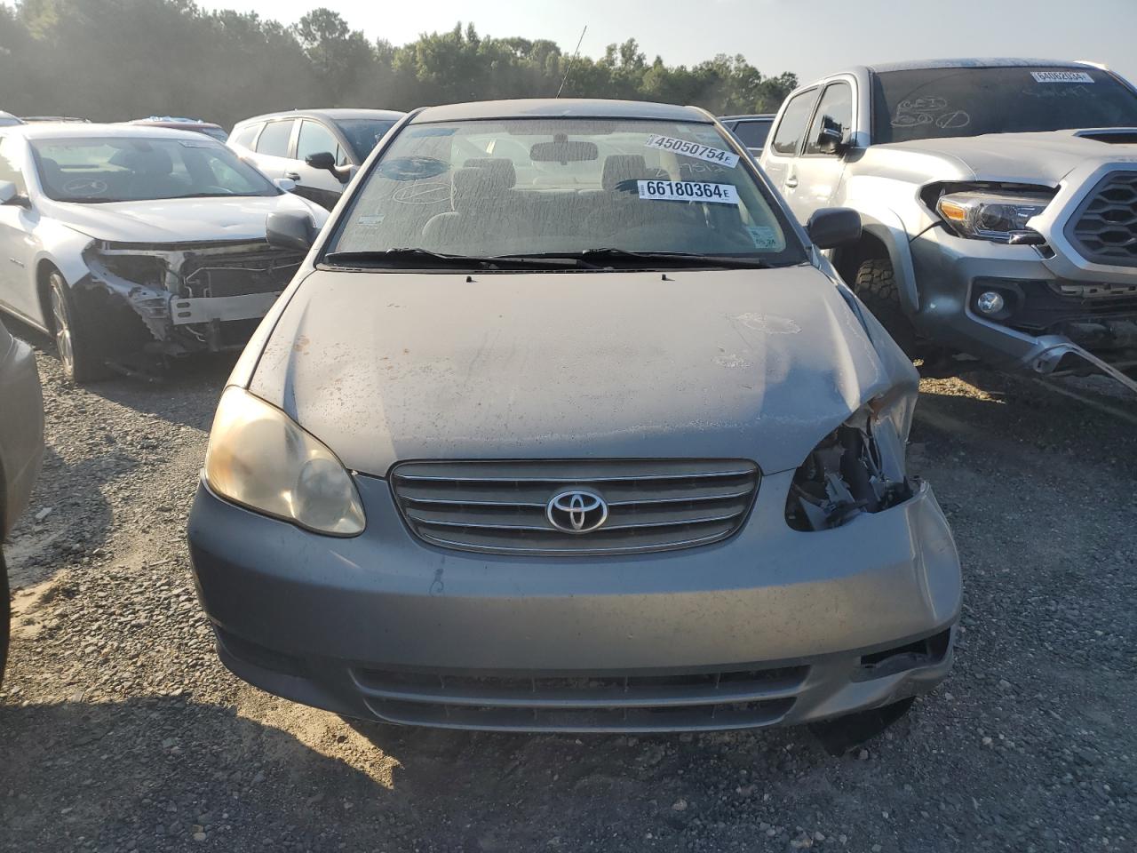 2004 Toyota Corolla - Image 5