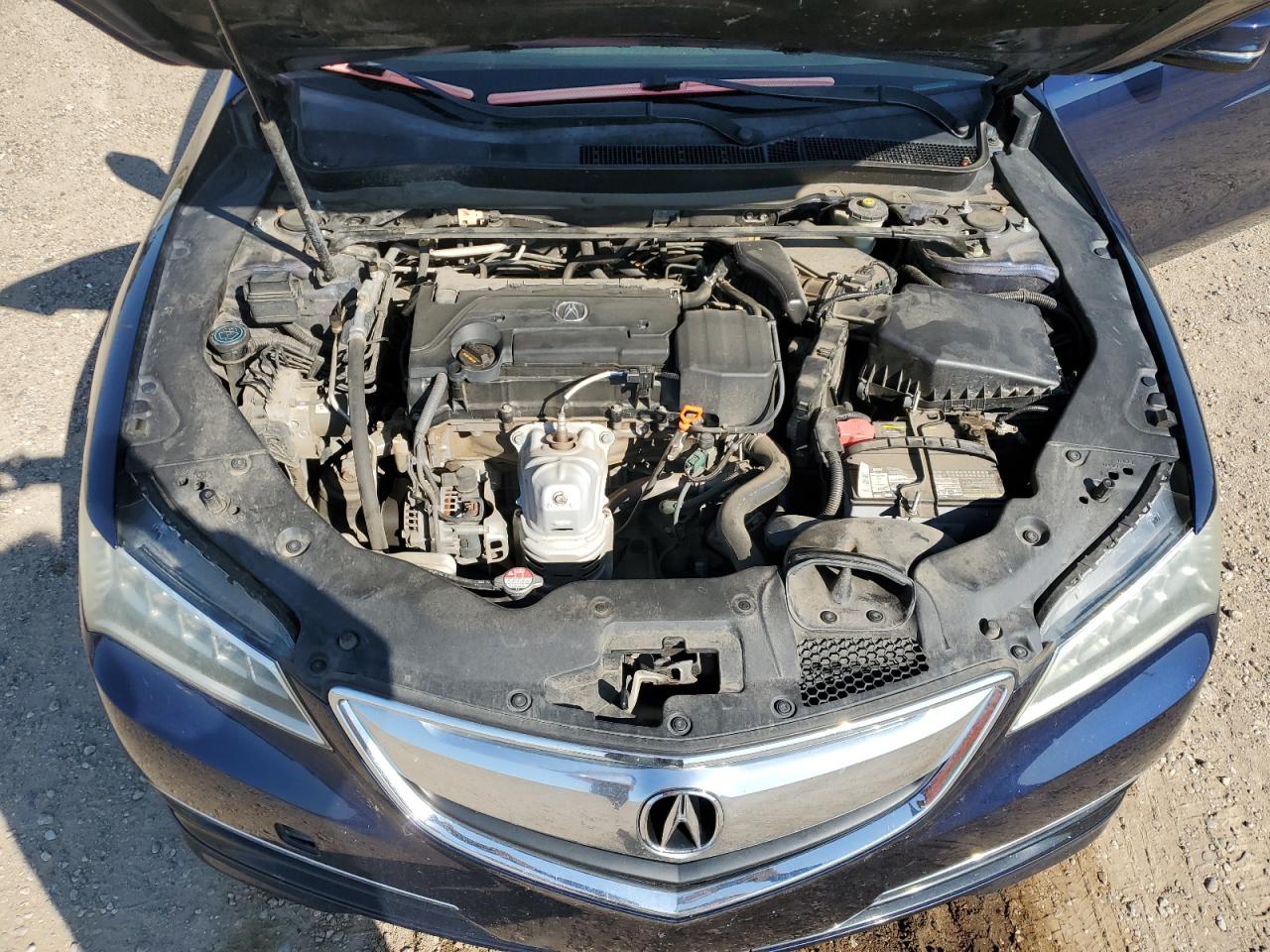 19UUB1F31GA006849 2016 Acura Tlx