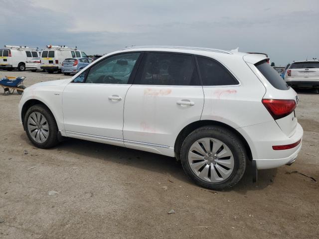  AUDI Q5 2013 Белы