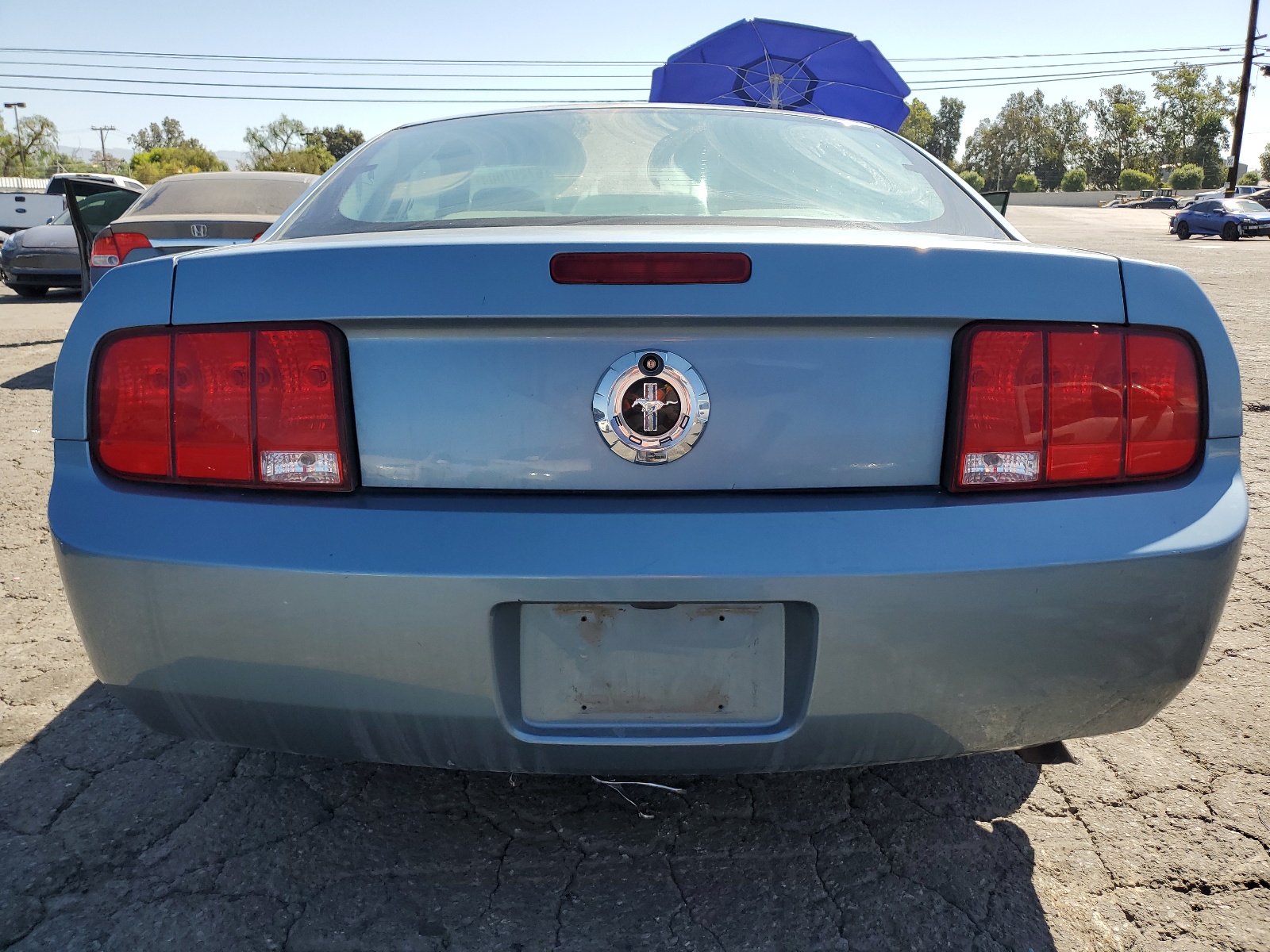 1ZVFT80N155159760 2005 Ford Mustang