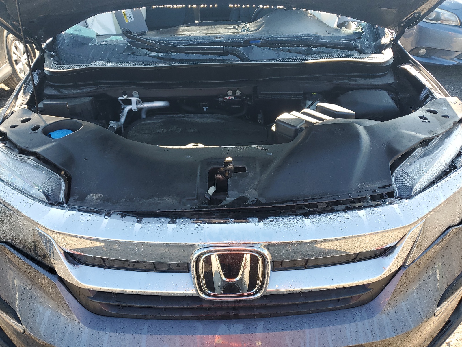 5FNYF6H5XMB046009 2021 Honda Pilot Exl