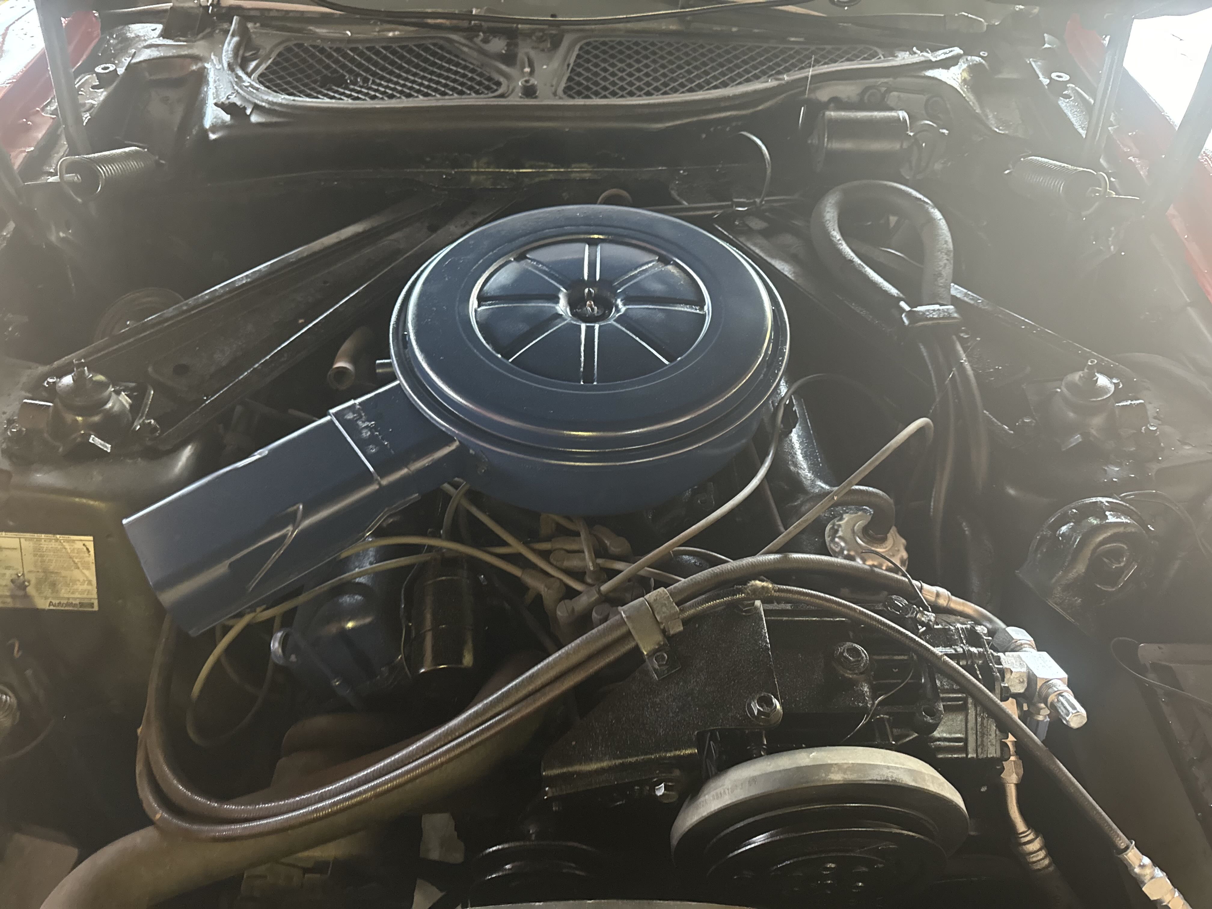 1T01H114560 1971 Ford Mustang