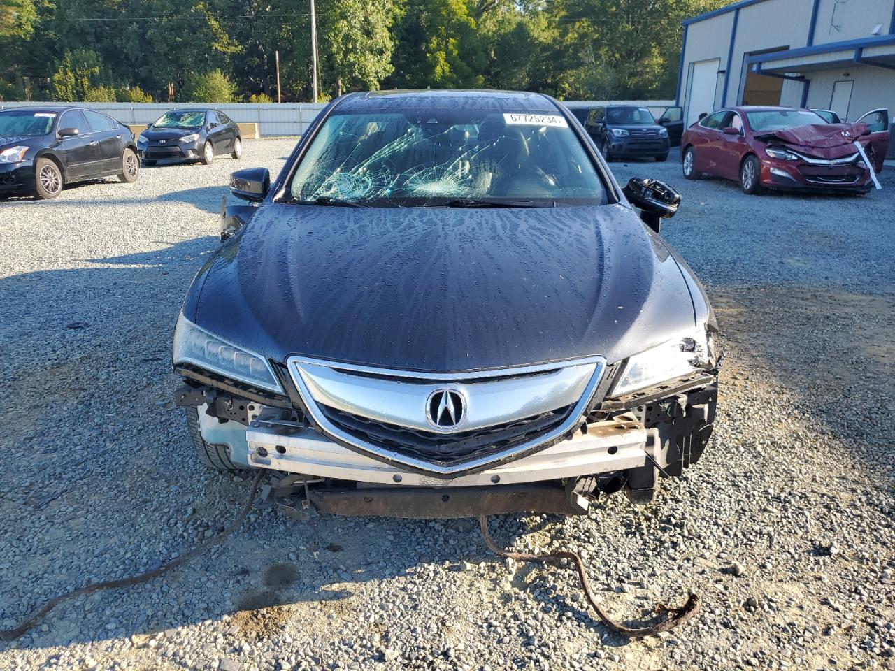 19UUB1F55GA006032 2016 Acura Tlx Tech