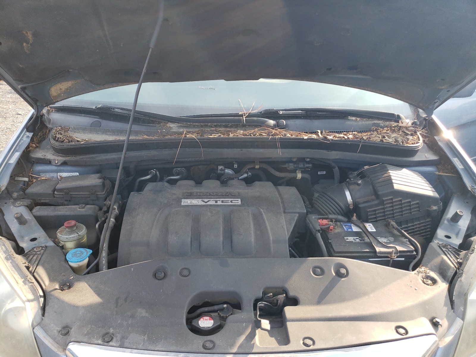 5FNRL38417B078225 2007 Honda Odyssey Ex