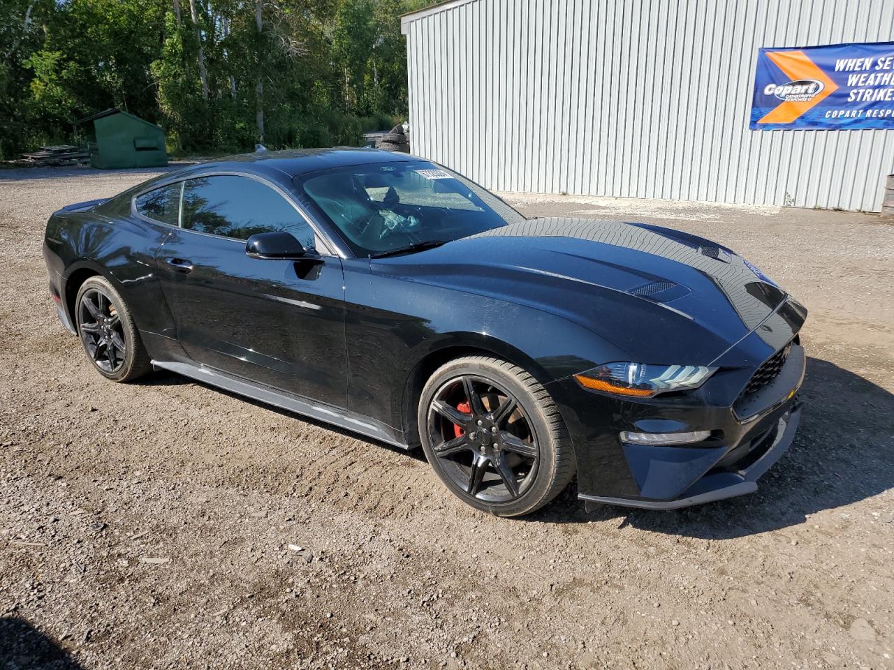 2020 Ford Mustang VIN: 1FA6P8TH4L5140152 Lot: 67320324