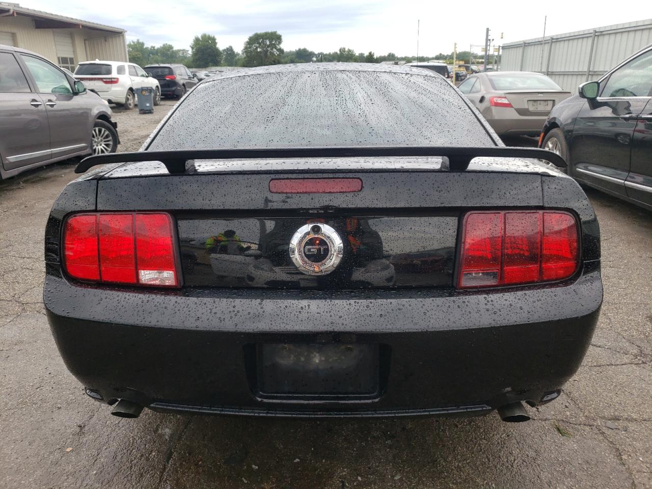 2007 Ford Mustang Gt VIN: 1ZVHT82H975202549 Lot: 67640484