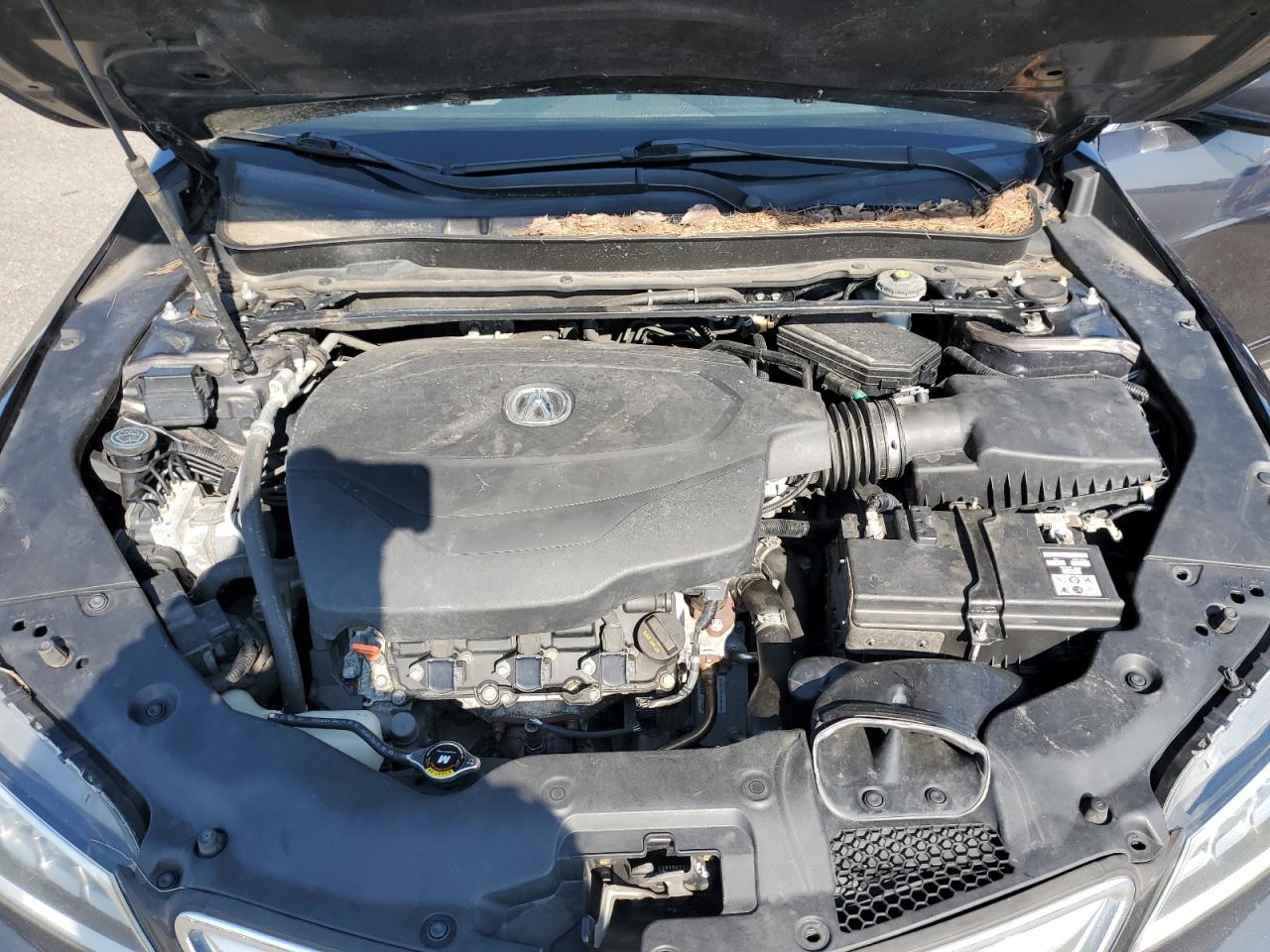 19UUB3F53FA000868 2015 Acura Tlx Tech