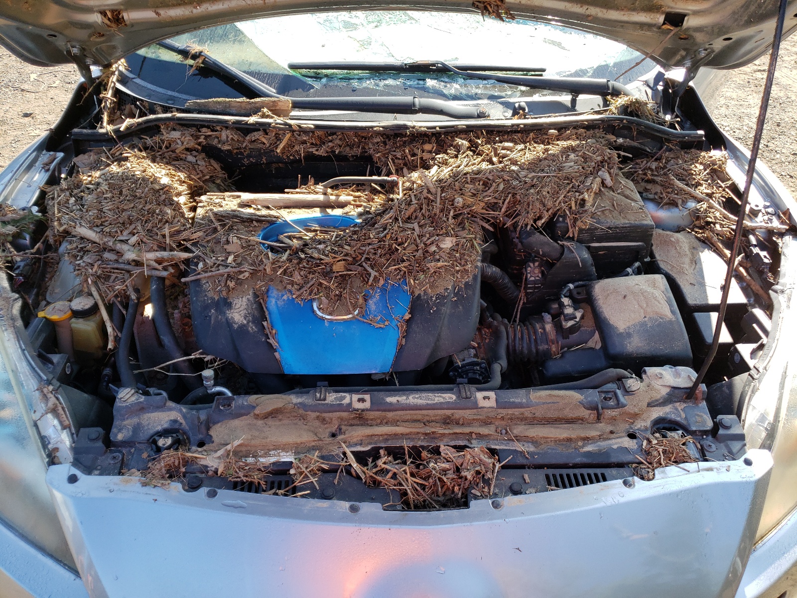 JM1BL1L87C1588470 2012 Mazda 3 I