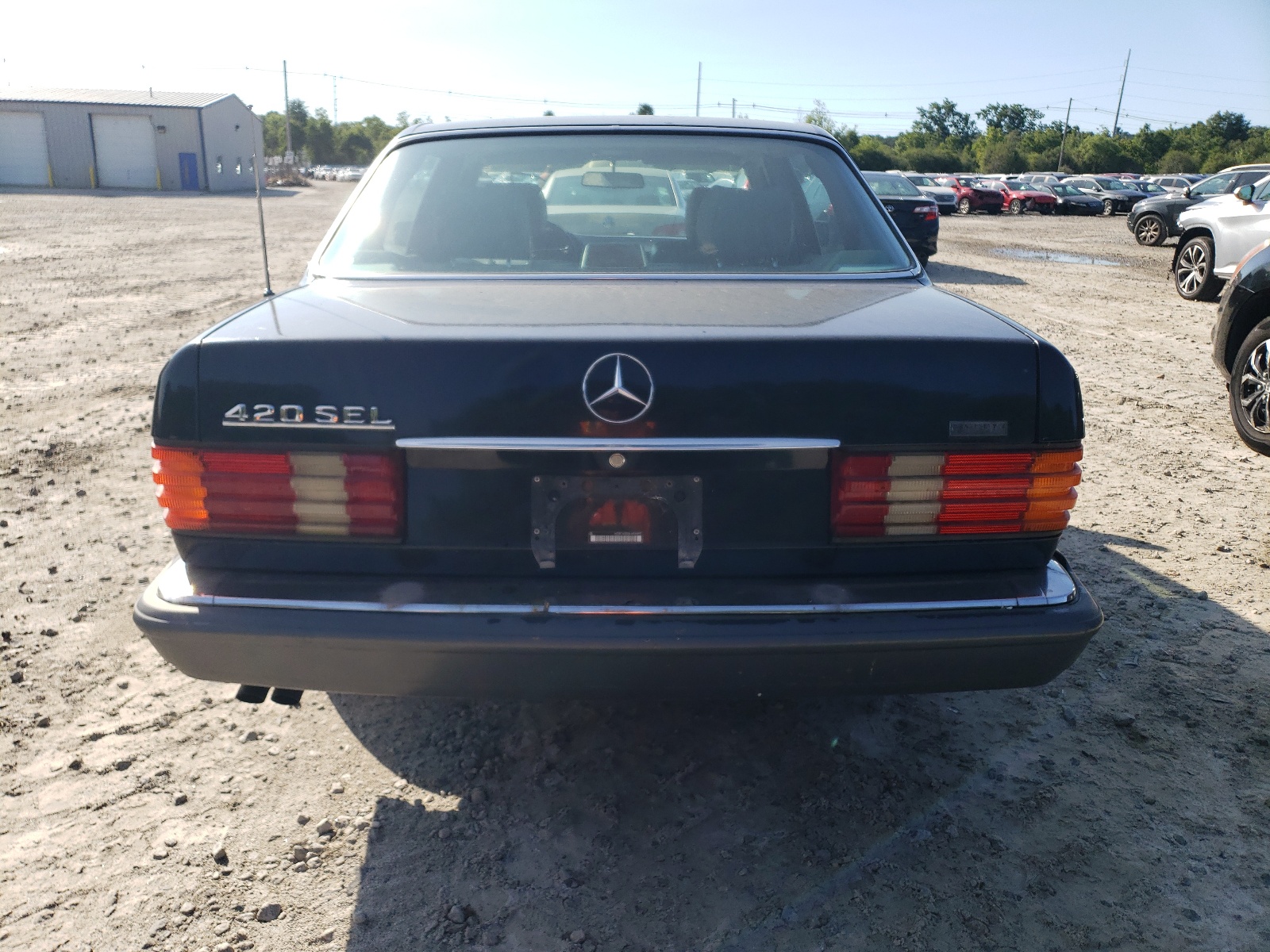 WDBCA35E6LA506493 1990 Mercedes-Benz 420 Sel