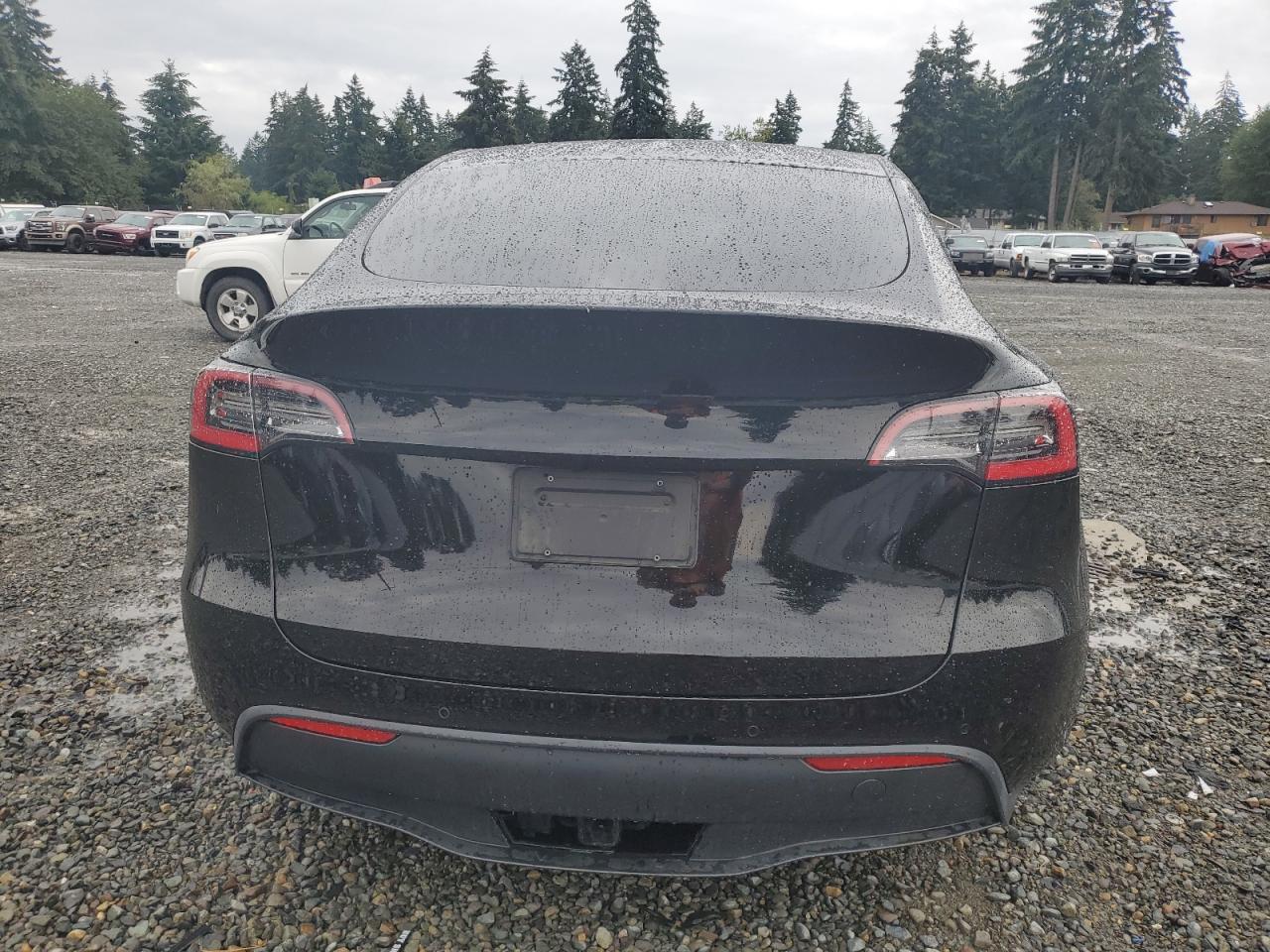 5YJYGDEE4LF052716 2020 Tesla Model Y