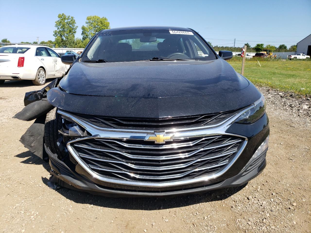 2020 Chevrolet Malibu Lt VIN: 1G1ZD5ST6LF111274 Lot: 66428684