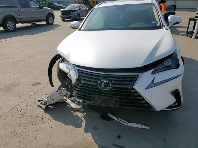 2020 Lexus Nx 300 VIN: JTJGARBZ8L5011473 Lot: 66281374