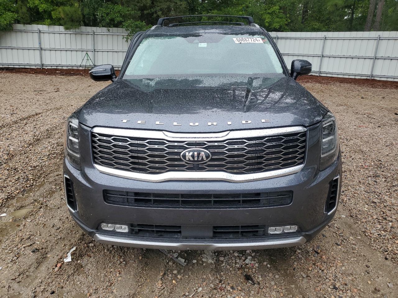 2020 Kia Telluride Sx VIN: 5XYP5DHC0LG031401 Lot: 65887724