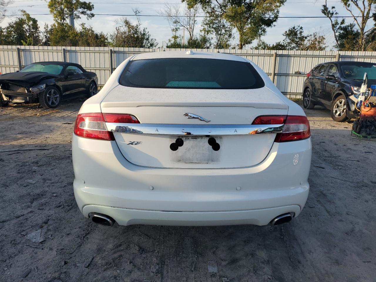 2011 Jaguar Xf Premium VIN: SAJWA0GB2BLR81675 Lot: 65587834