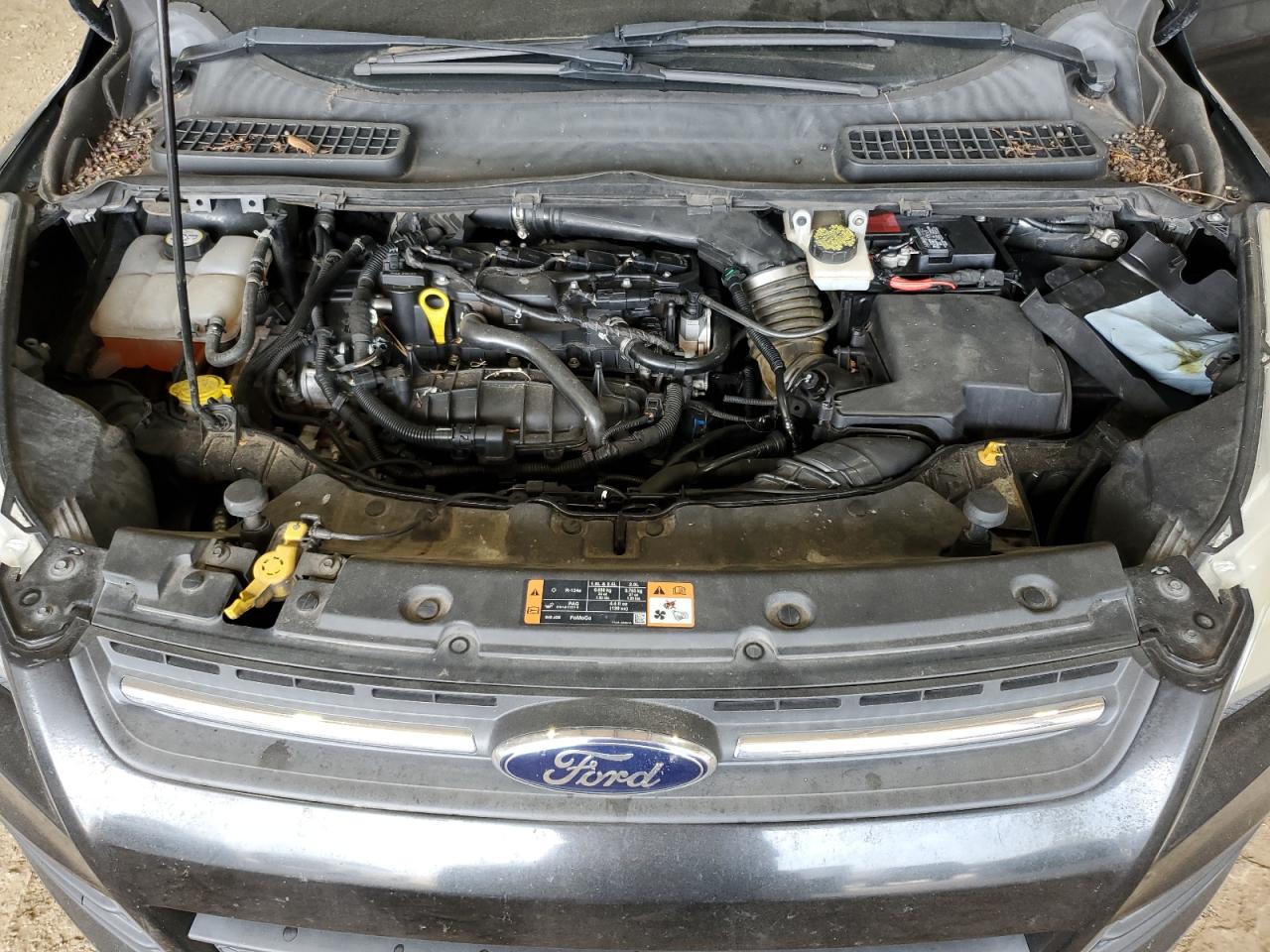 2014 Ford Escape Se VIN: 1FMCU0GXXEUC07625 Lot: 67352494