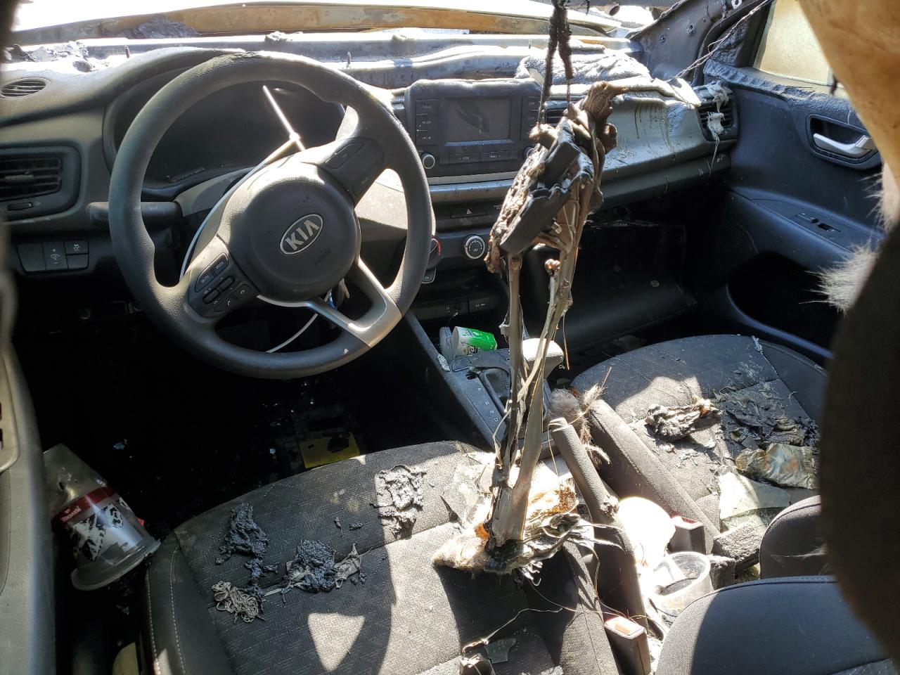 2019 Kia Rio S VIN: 3KPA24AB0KE184775 Lot: 66011444