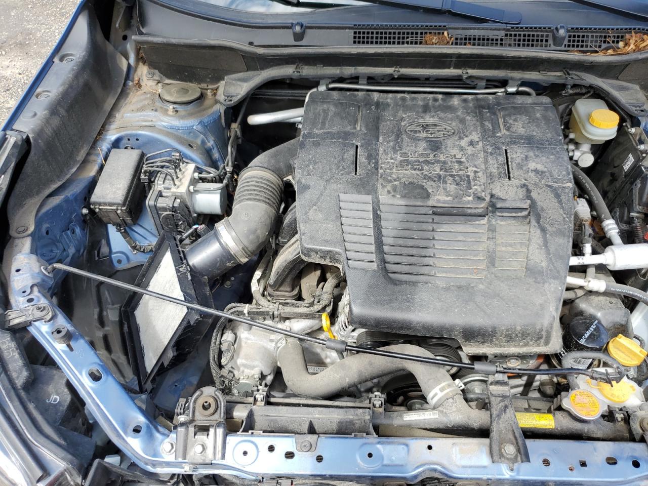 2019 Subaru Forester Premium VIN: JF2SKAGC4KH464245 Lot: 66328814