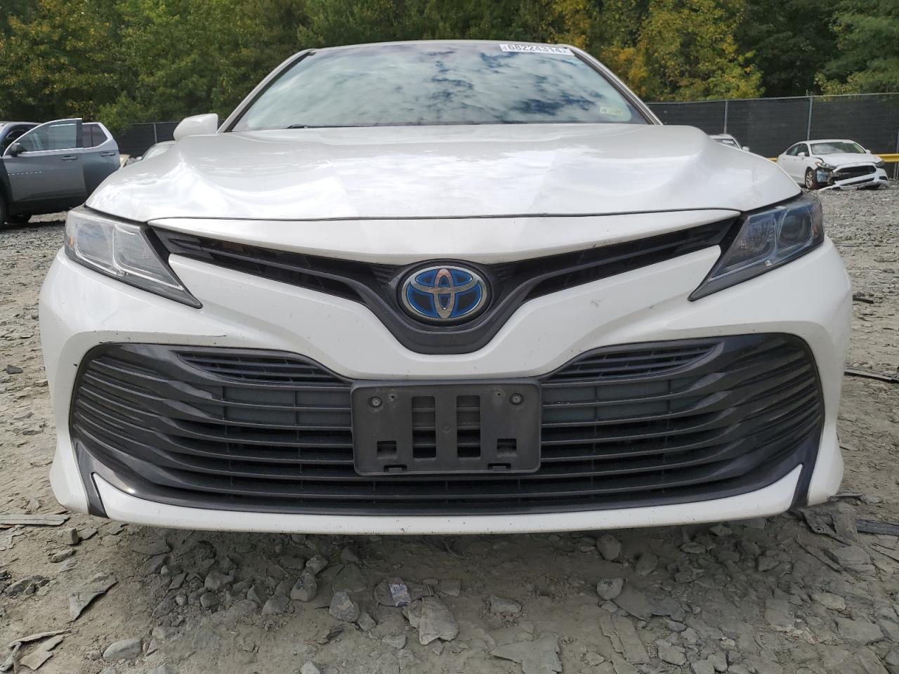 2019 Toyota Camry Le VIN: 4T1B31HK8KU513208 Lot: 68224314