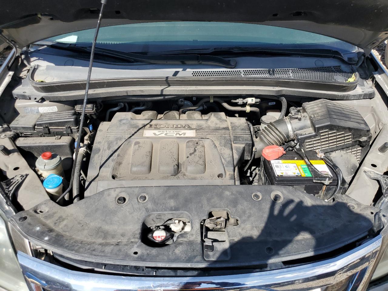 2009 Honda Odyssey Exl VIN: 5FNRL38749B016542 Lot: 67373684