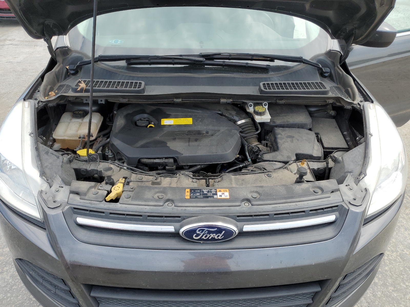 2015 Ford Escape Se vin: 1FMCU0GXXFUB05405