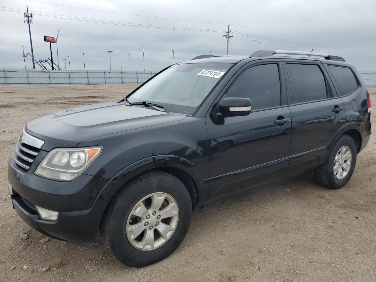 2009 Kia Borrego Lx VIN: KNDJH741995020661 Lot: 66014184