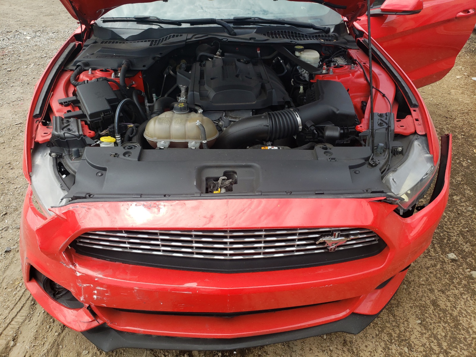 1FATP8UH3G5247488 2016 Ford Mustang