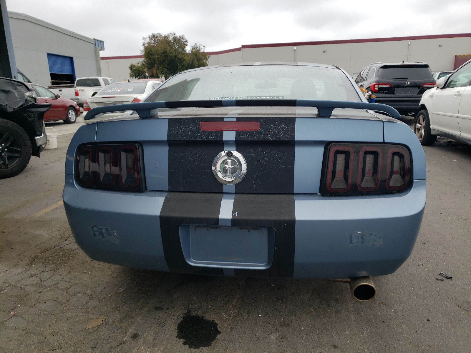 1ZVFT80N065149755 2006 Ford Mustang