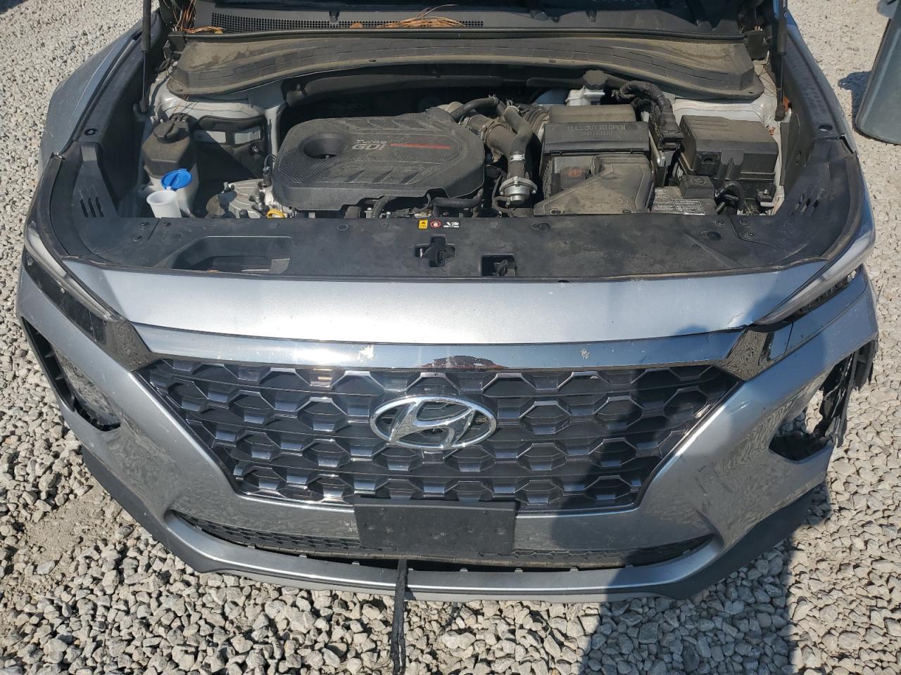 2020 Hyundai Santa Fe Limited VIN: 5NMS53AAXLH263488 Lot: 69721364