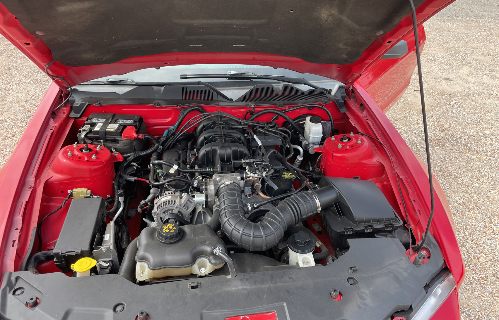 1ZVBP8EN6A5175734 2010 Ford Mustang