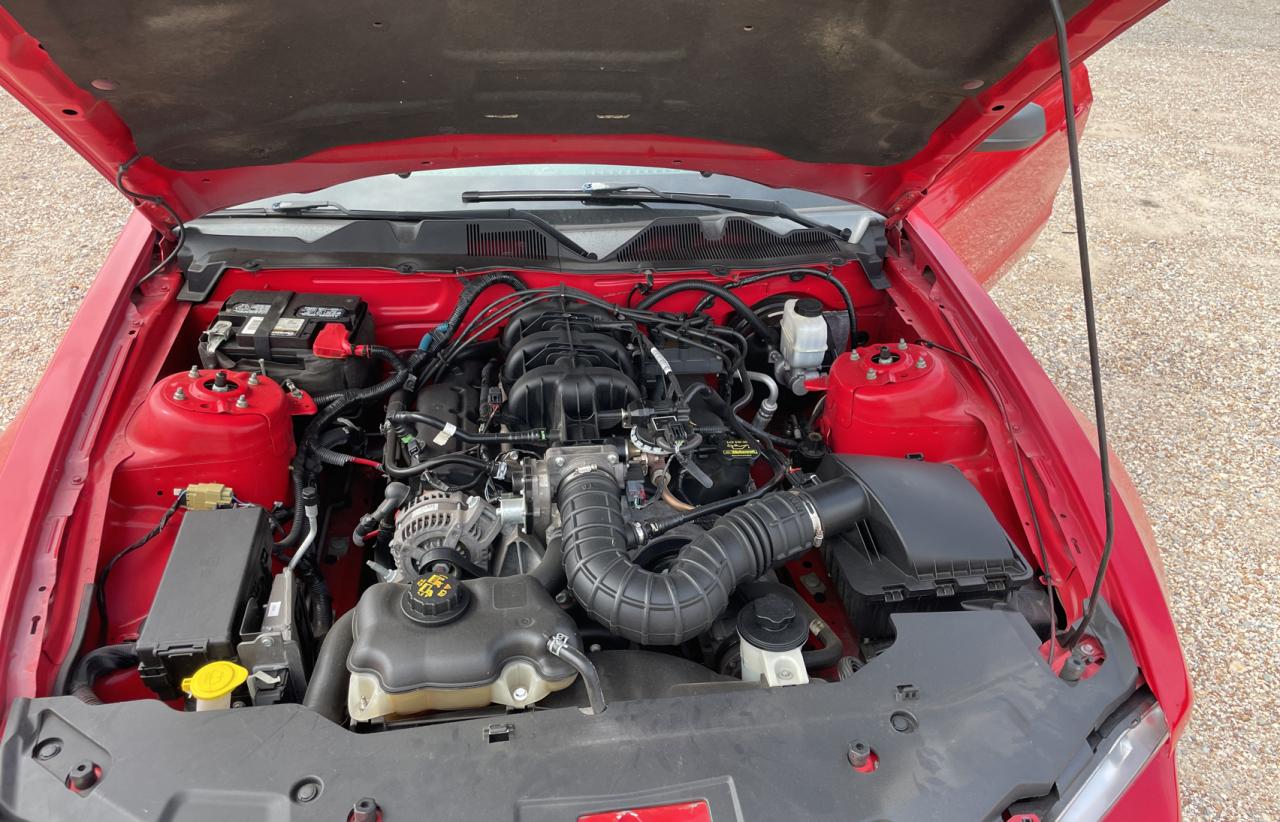 2010 Ford Mustang VIN: 1ZVBP8EN6A5175734 Lot: 66698444