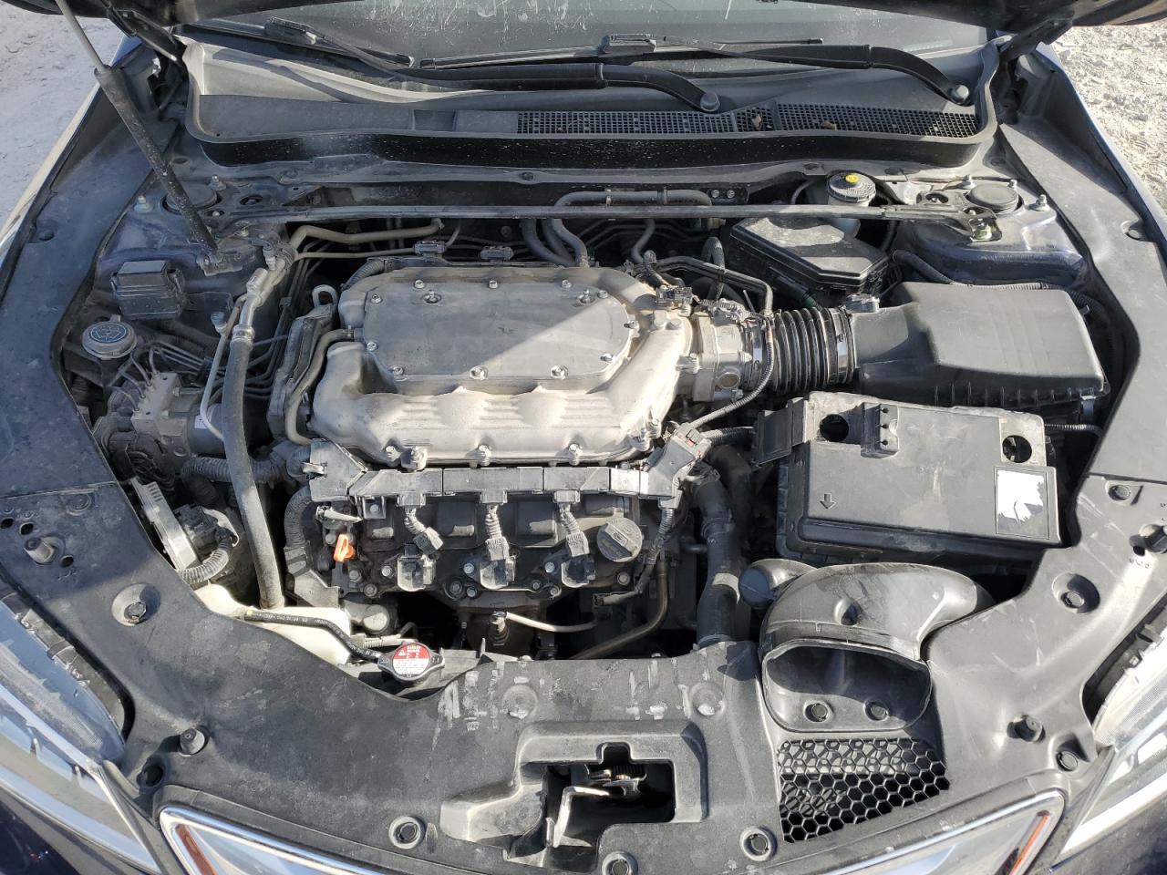 2017 Acura Tlx VIN: 19UUB2F3XHA006033 Lot: 65608594